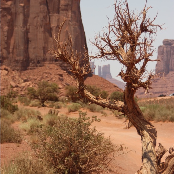 Meet your Posher, Pam - Picture 9 of 12